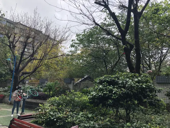 上创雅园实景图