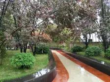 弹子石 泽京微v一房31.5万