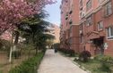 天泰新村三期实景图