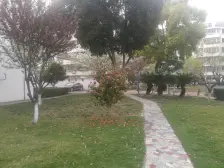 非顶楼总价低+三面朝南+采光棒+地铁安亭站800米