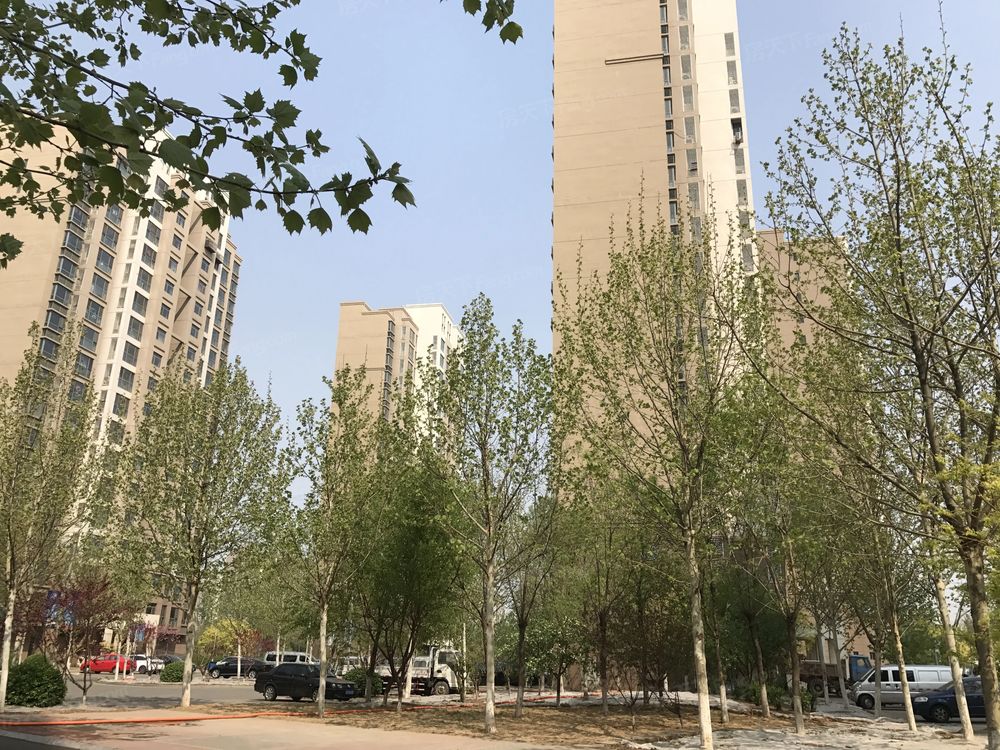 小区相关图