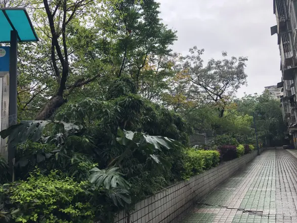 上创雅园实景图