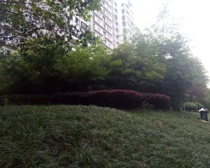 天府欣苑西区4室1厅南