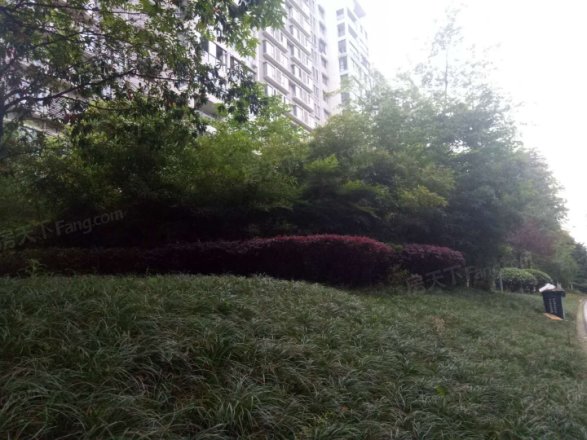 天府欣苑西区实景图