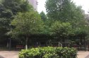 天府欣苑西区实景图