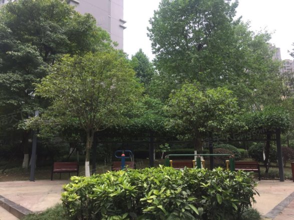 天府欣苑西区实景图