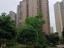 李家沱 融汇半岛玫瑰公馆四房80万