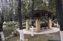 天府欣苑西区实景图