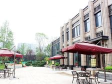 成都新天地二期春天里2室1厅东南