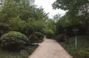 天府欣苑西区实景图