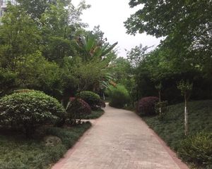 天府欣苑东区4室1厅南北