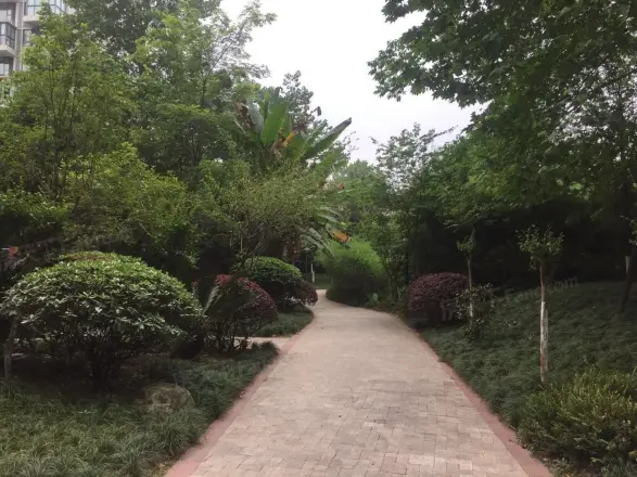 天府欣苑西区实景图