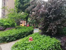 李家沱 融汇半岛玫瑰公馆四房77万