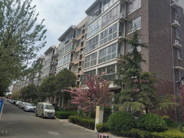 海信马山新城实景图