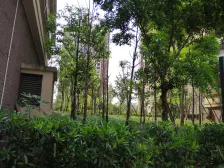 花溪 典雅花溪半岛二房60万