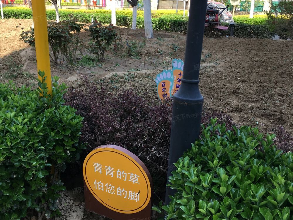 小区相关图