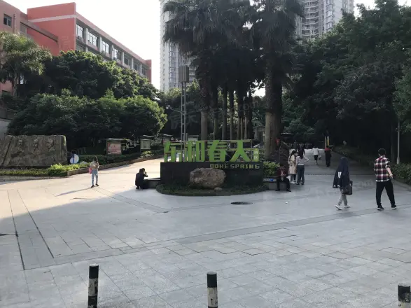 东和春天西区实景图