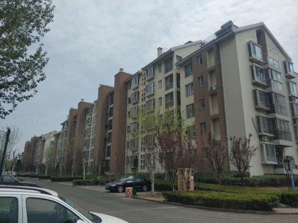 海信马山新城实景图