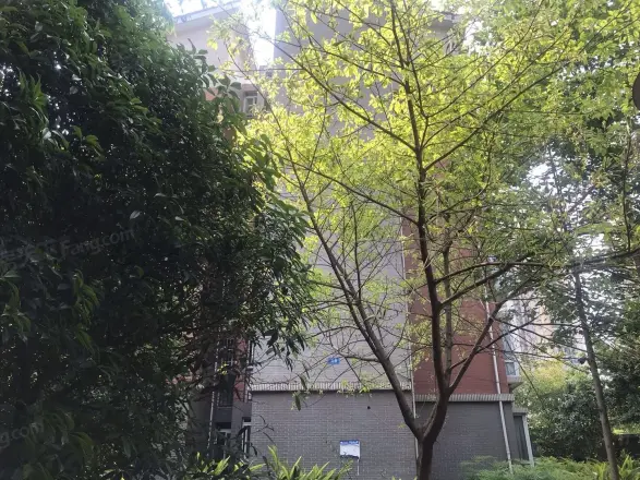 盾安九龙城实景图