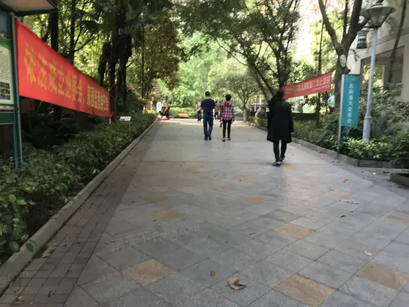 东和春天西区实景图