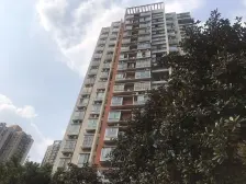 电梯商品房+正规大2房+户型方正+楼层好+采光好+诚心卖