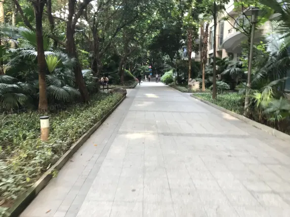 东和春天西区实景图