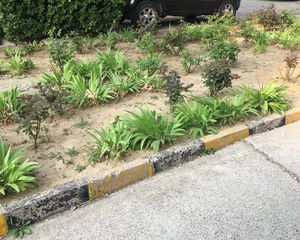 蓝天苑3室2厅南北