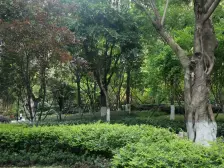 国际社区江御 5室1厅 西北 东北