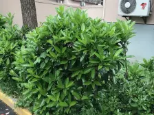 业主诚意出售,满五年,近地铁,出行方便。