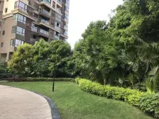 和泓洋房精装一楼 带前后花园 地下室 产权车位 位置佳