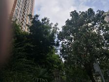 四海逸家二期4室2厅东南南