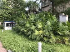 轻轨站200米+精装3房2卫+户型方正+拎包入住+急售!