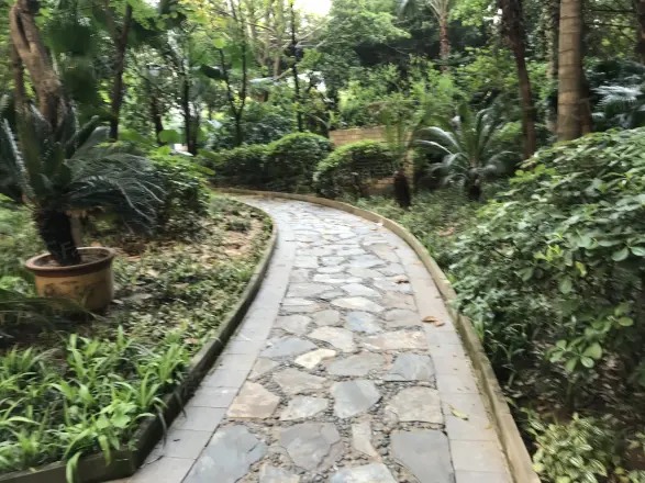 东和春天西区实景图