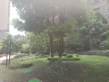 小区环境优美出行方便,户型好采光足够。