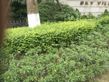 四海逸家二期4室2厅西南