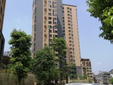 全江景三房 洋房社区 西流坨古镇旁