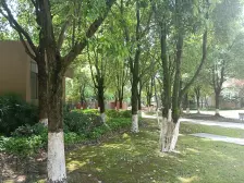 近地铁六号线邱家湾站,公交车站,同景公园环境好