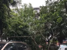 前后无遮挡 可视东方明珠 双轨交 出行方便