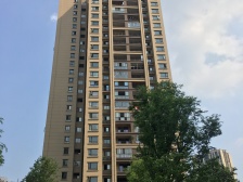 金科品质 近轻轨 交通方便 业主诚心出售