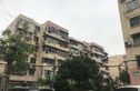 桃浦六村实景图