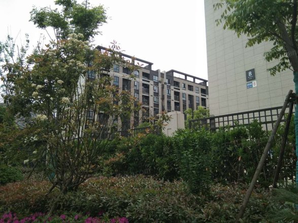 风华大境实景图