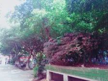 南坪步行街,电梯二室,楼下生活配套成熟