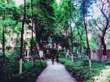 左岸阳光 2室1厅 北 东北