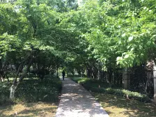 双山 中交丽景香漫岭四房