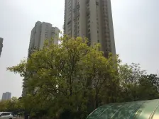 河东区电梯房,业主诚意出售,中间楼层采光好店长推荐