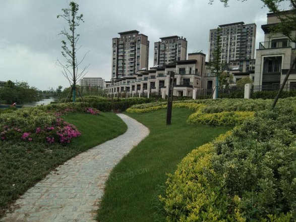 风华大境实景图