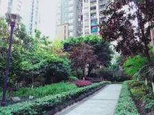 龙湖天街万达旁 双轻轨 正规三房 户型方正 采光好