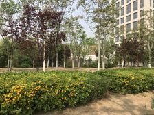 绿岛水岸两居室,大落地阳台,两个卧室带飘窗,采光好