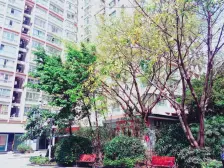 南坪商圈 龙湖天街 户型方正