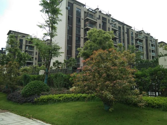 风华大境实景图